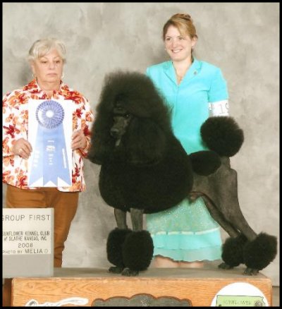 photo of black standard poodle winning a group I